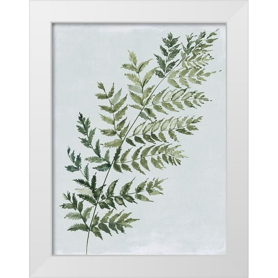 Jensen, Asia 19x24 White Modern Wood Framed Museum Art Print Titled - Green Fern I