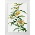 thumbnail image 1 of Jensen, Asia 23x32 White Modern Wood Framed Museum Art Print Titled - Yellow Tropical Flowers I, 1 of 4