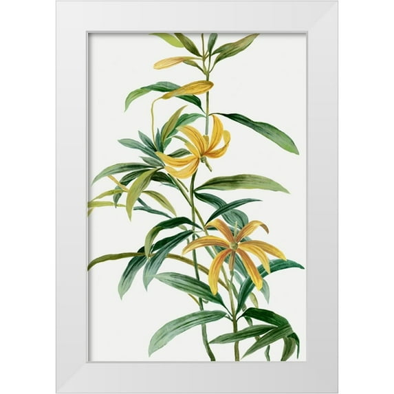 Jensen, Asia 23x32 White Modern Wood Framed Museum Art Print Titled - Yellow Tropical Flowers I