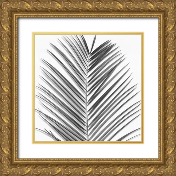 Jensen, Mia 12x12 Gold Ornate Wood Framed with Double Matting Museum Art Print Titled - Palm Black and White V