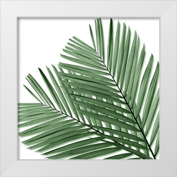 Jensen, Mia 12x12 White Modern Wood Framed Museum Art Print Titled - Palm Green I