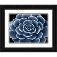 thumbnail image 1 of Jensen, Mia 14x12 Black Ornate Wood Framed with Double Matting Museum Art Print Titled - Succulent Indigo IV, 1 of 4