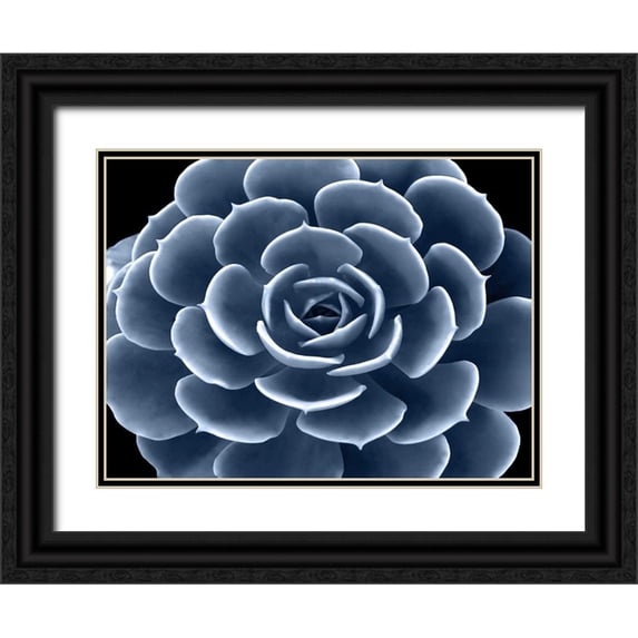 Jensen, Mia 14x12 Black Ornate Wood Framed with Double Matting Museum Art Print Titled - Succulent Indigo IV