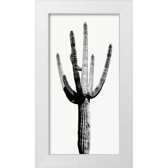 Jensen, Mia 18x32 White Modern Wood Framed Museum Art Print Titled - Saguaro Black and White I
