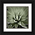 thumbnail image 1 of Jensen, Mia 20x20 Black Ornate Wood Framed with Double Matting Museum Art Print Titled - Green Succulent III, 1 of 4