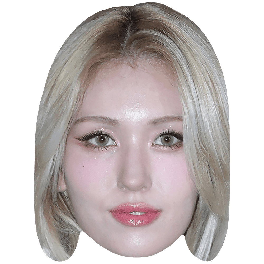 Jeon So mi (Blonde Hair) Big Head. Larger than life mask. - Walmart.com