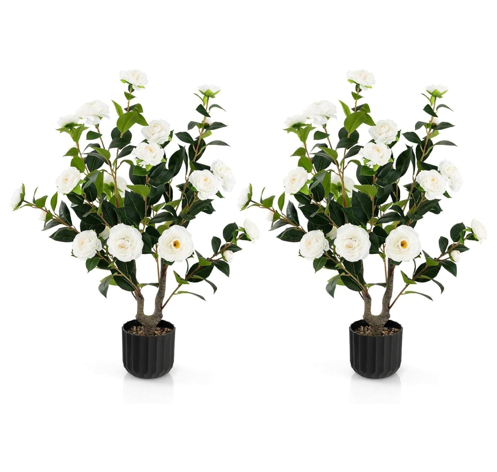 38'' White Silk Camellia Tree in Black Pot, 2-Pack