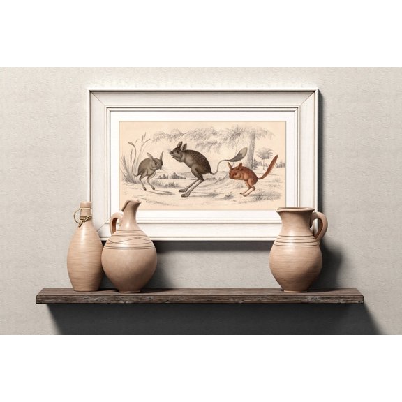 Jerboa Victorian Zoological Desert Rodent Home Decor Wall Art Poster Print