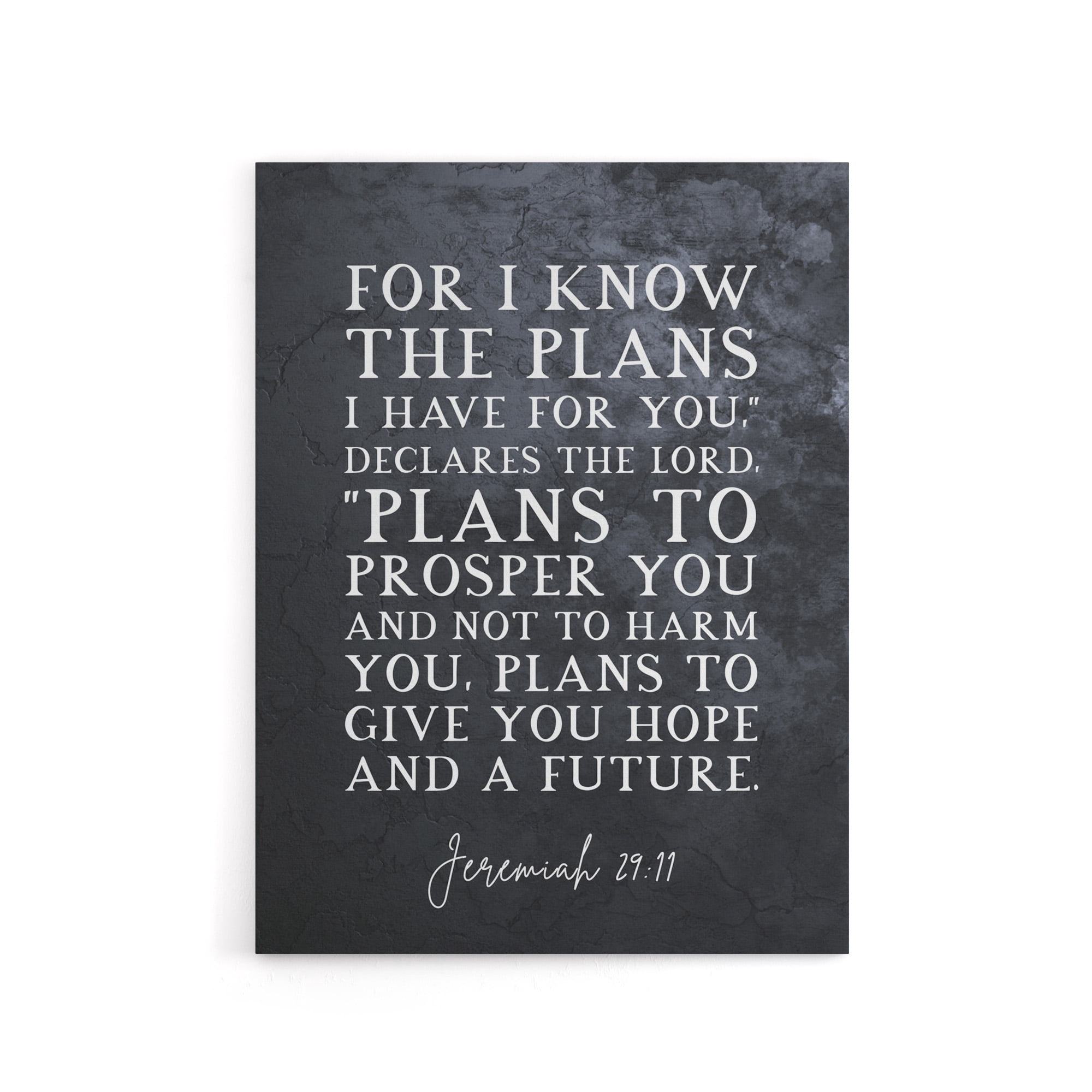 Jeremiah 29 11 I Know The Plans Have Bible Quote Canvas Wall Art Print ...