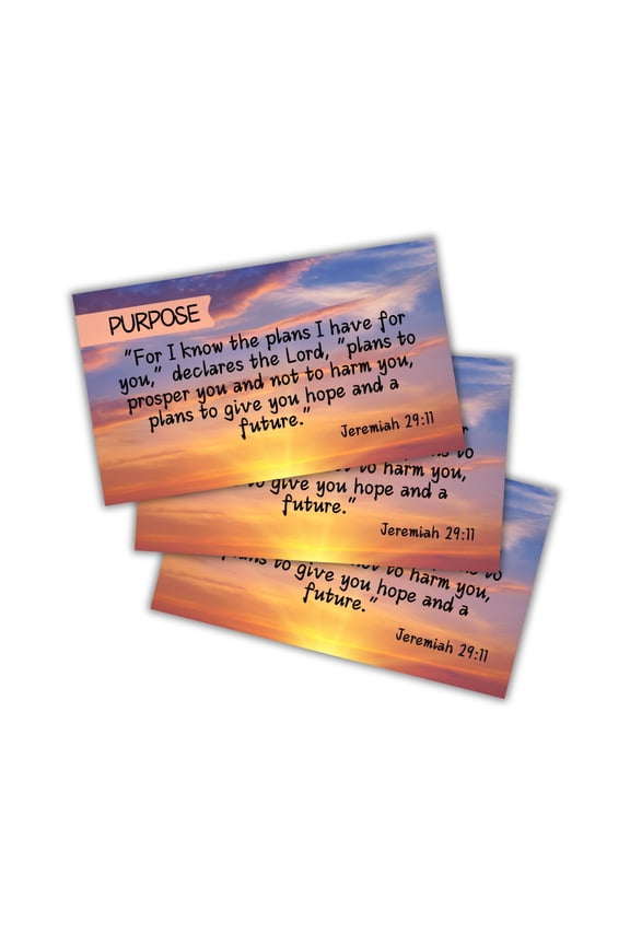 Jeremiah 29:11 Purpose Prayer Card 30 pk 2x3.5 Wallet Size For I Know The Plans I Have For You Christian Bible Verse Scripture Pocket