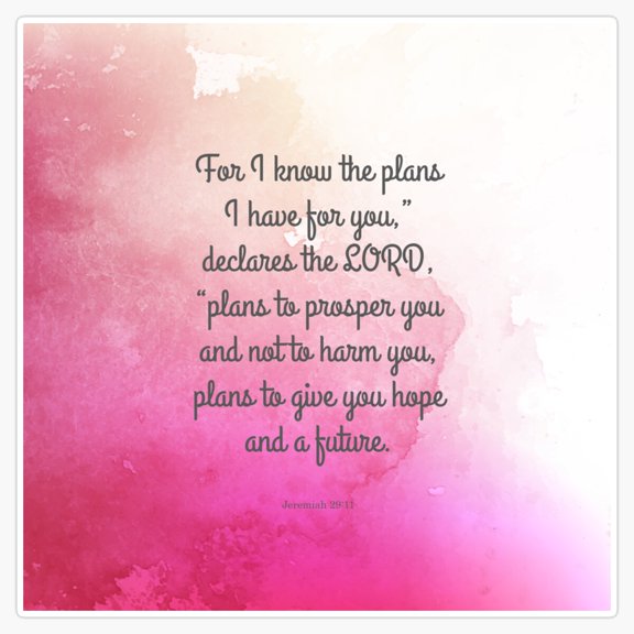 Jeremiah Plans To Give You Hope Future Verse Vinyl Sticker