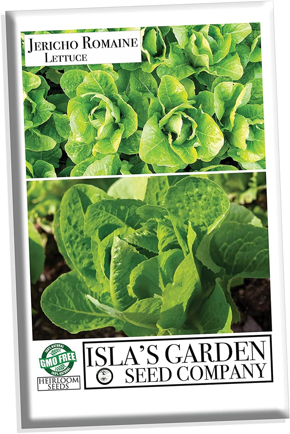 Jericho Romaine Lettuce Seeds for Planting, 500+ Heirloom Seeds Per Packet, (Isla's Garden Seeds