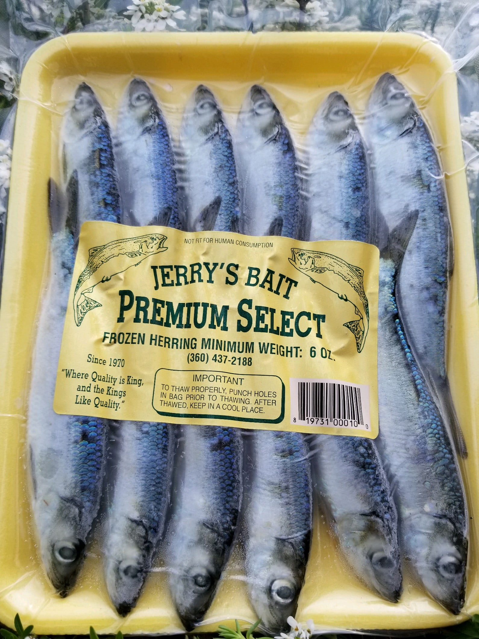 Jerry's Herring Frozen Bait for Fresh and Salt Water Fish, oz