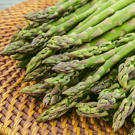 Jersey Giant Asparagus Standard Grade Dormant Bare Root Vegetable Starter Roots (10-Pack)