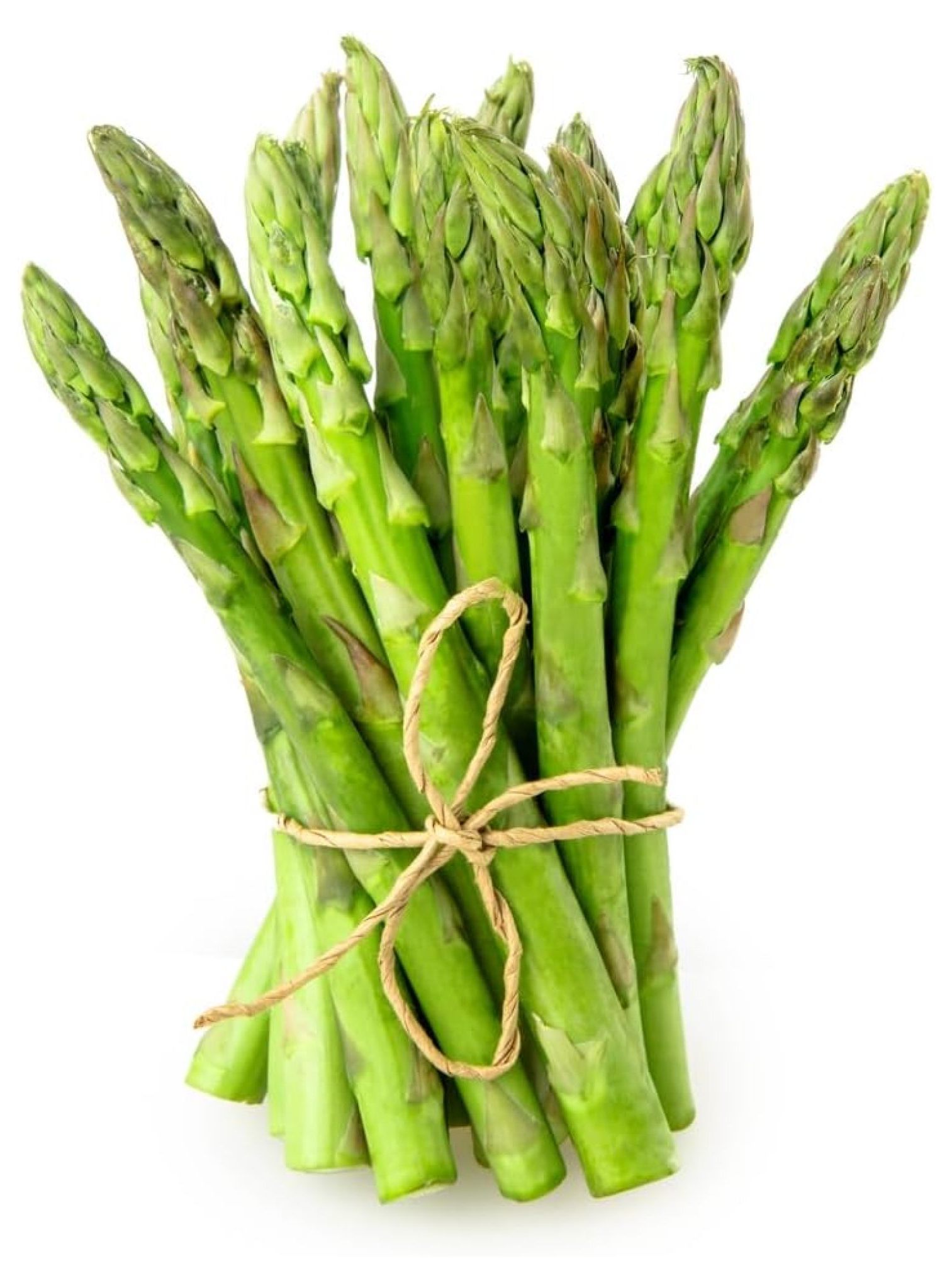 Jersey Giant Live Asparagus Bare Root Plants 2yr Crowns Grow Giant