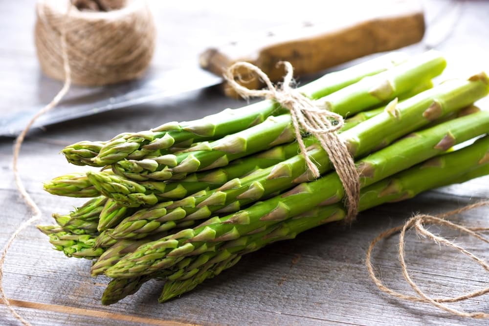 Jersey Knight Live Asparagus Bare Root Plants - 2yr Crowns - Easy to Grow Asparagus (25 Asparagus Crowns)