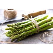 Jersey Knight Live Asparagus Bare Root Plants - 2yr Crowns - Easy to Grow Asparagus (25 Asparagus Crowns)