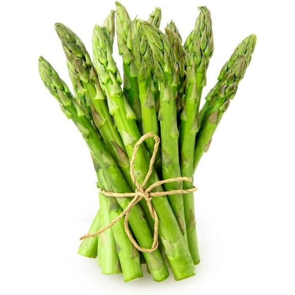 Jersey Knight Live Asparagus Bare Root Plants - 2yr Crowns - Easy to Grow