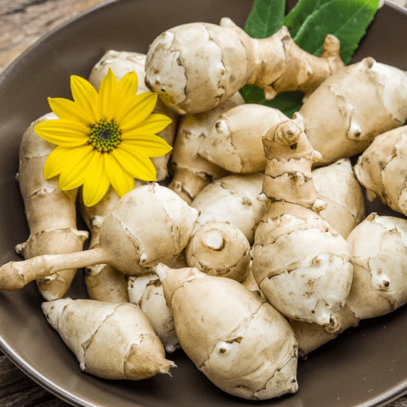 Jerusalem Artichoke Tubers For Planting Outdoors, Pack 8 Oz, Sunroots Sunchokes Tubers