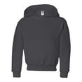 thumbnail image 1 of Jerzees 996Y Youth 8 oz. NuBlend Fleece Pullover Hood, 1 of 1