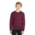 thumbnail image 1 of Jerzees Big Boys Nublend Seamless Ribbed Crewneck Sweatshirt, 1 of 1
