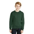 thumbnail image 1 of Jerzees Big Boys Nublend Seamless Ribbed Crewneck Sweatshirt, 1 of 1