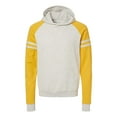 thumbnail image 1 of Jerzees NuBlend Varsity Color-Block Hooded Sweatshirt - 97CR (2 PACK), 1 of 1