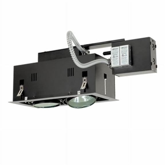 Jesco Lighting  2 - Light Double Gimbal Linear Recessed Fixture Low Voltage - Silver Trim/Black Gimbal/Black Interior