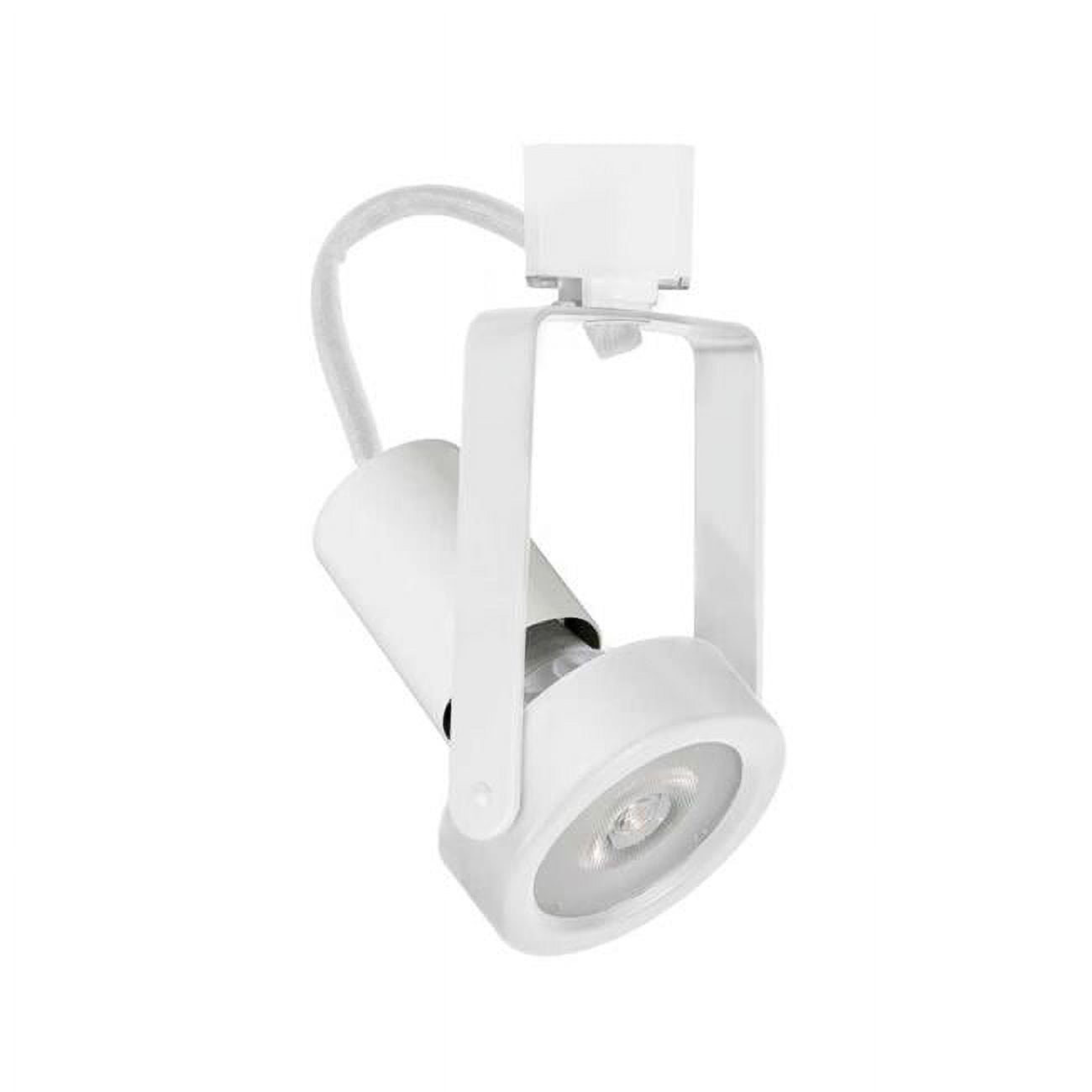 White Steel Adjustable PAR30 Gimbal Track Light