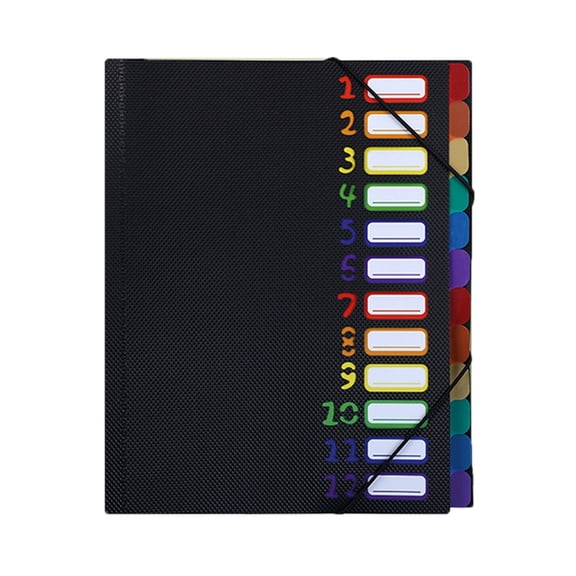 Jesscasday Color Coded Expandable Office Organiser 12 Pocket A4 Folder Elastic Band Secure