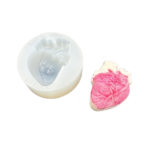 Jesscasday Silicone Simulation Heart/Brain/Organ Mold For Anatomy Study Model Creation Educational Anatomy Mold