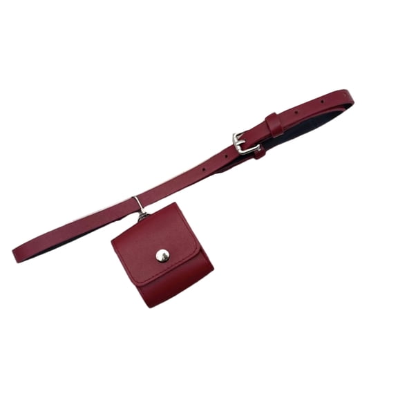 Jesscasday Stylish PU Leather Mini Waist Sash Waist Belt with Bag for Women Stylish Waistband with Secure Pocket & Metal Clasp
