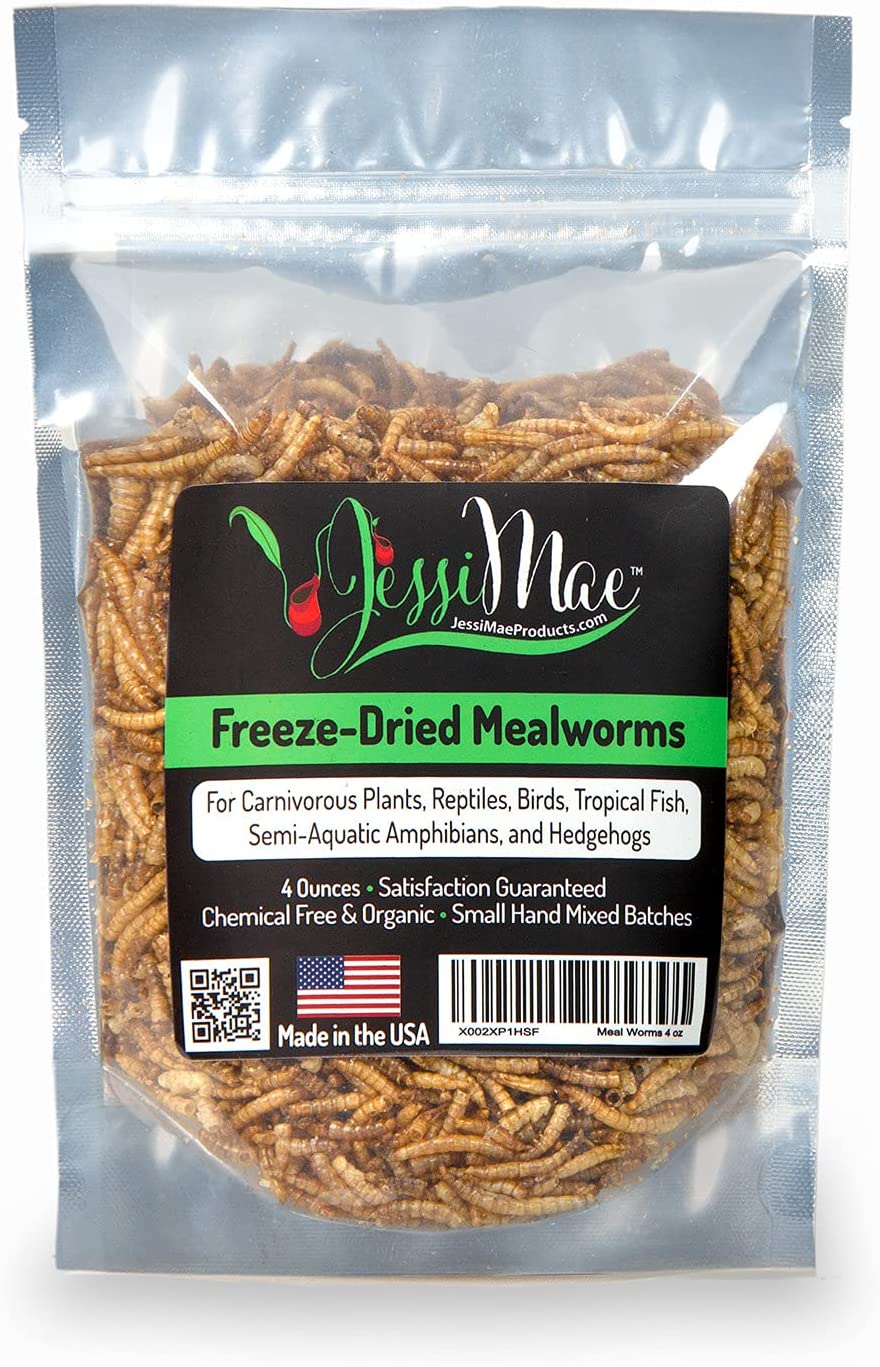 Jessi Mae Freeze Dried Mealworms 4 oz Natural Protein Meal Supplement