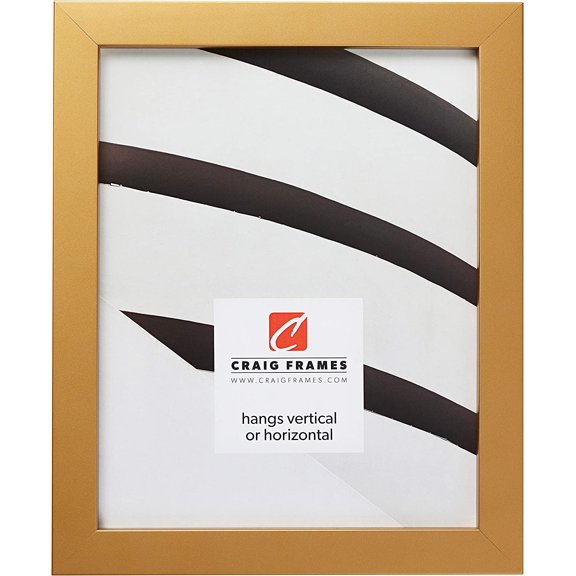 JessieMalConfetti, Modern Gold Picture Frame, 16 x 22 Inch