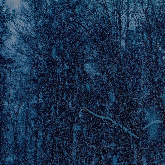 Jesu - Never - Vinyl