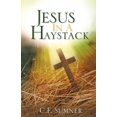 thumbnail image 1 of Jesus In A Haystack, (Paperback), 1 of 1
