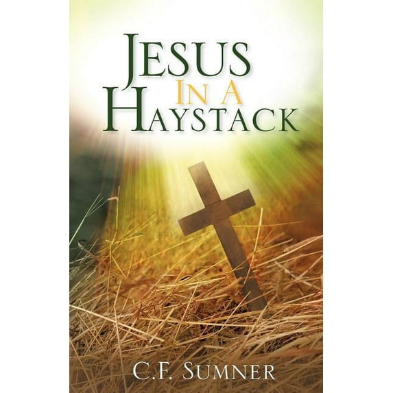 Jesus In A Haystack, (Paperback)