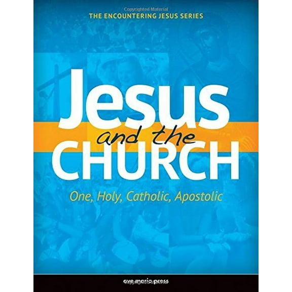 Pre-Owned Jesus and the Church (Paperback) 1594712123 9781594712128