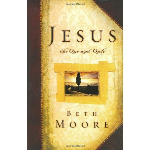 Pre-Owned Jesus, the One and Only (Hardcover)