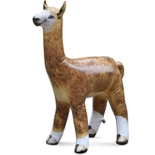 Inflatable Alsa Inflatables