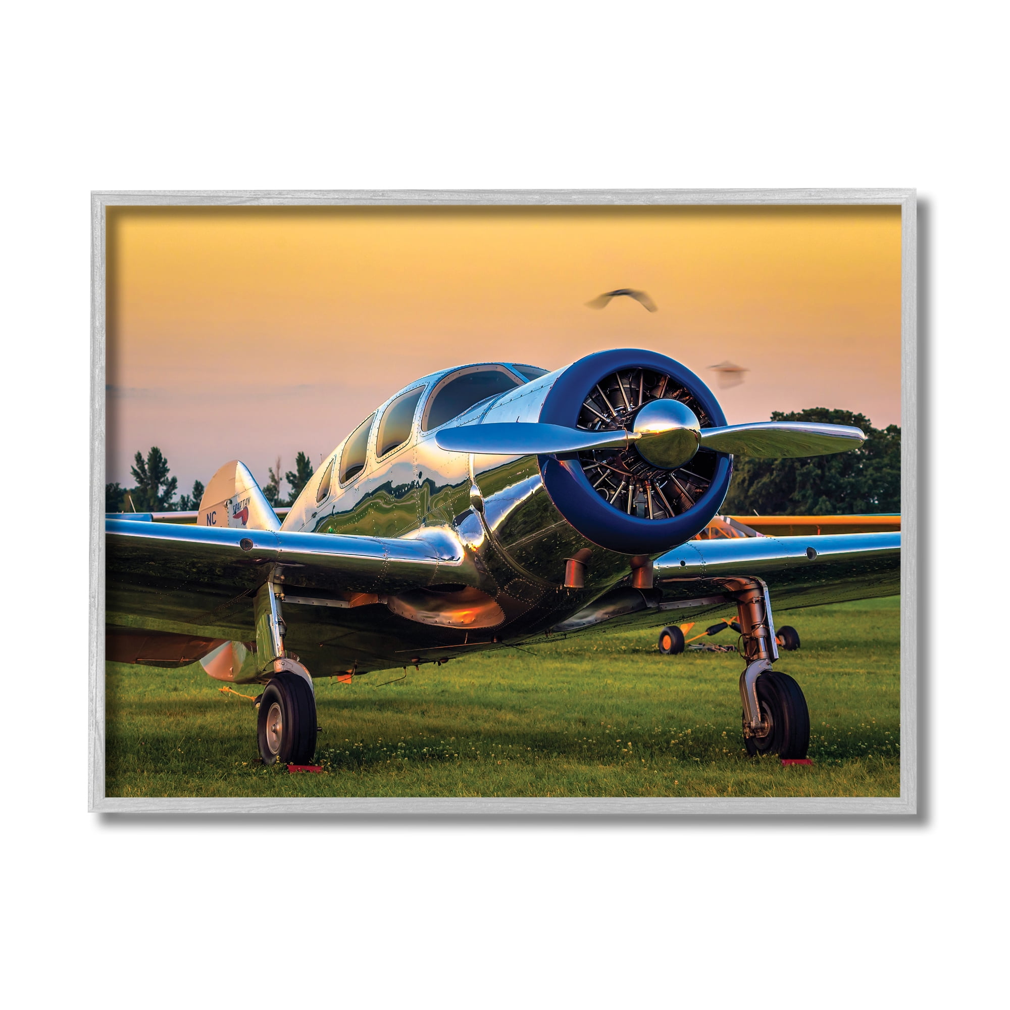 Jet Plane in Meadow Summer Sunset Reflection 20 in x 16 in Framed Photography Art Prints, by Stupell Home Décor