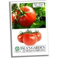 thumbnail image 1 of Jet Star Tomato Seeds for Planting, 25+ Seeds Per Packet Non GMO & Heirloom Seeds, Scientific Name Solanum lycopersicum, Great Home Garden Gift, 1 of 7