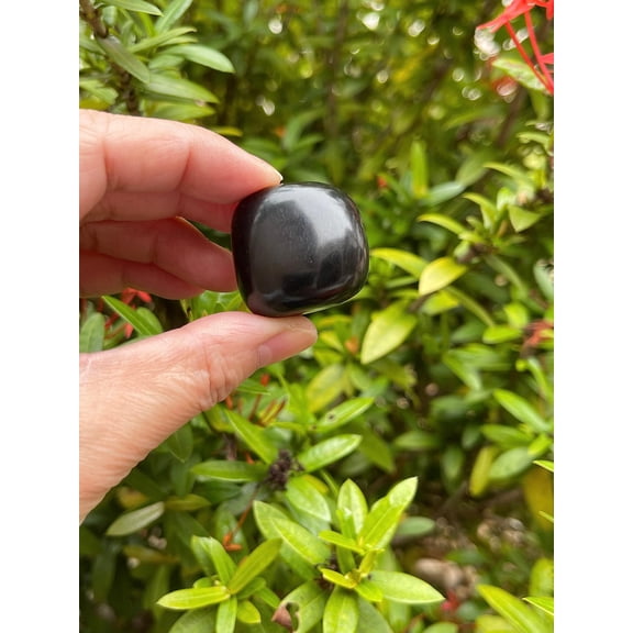 Jet Tumbled Stones, Polished Jet Gemstone, Jet Healing Crystals (Jet, 0.25 Pound)