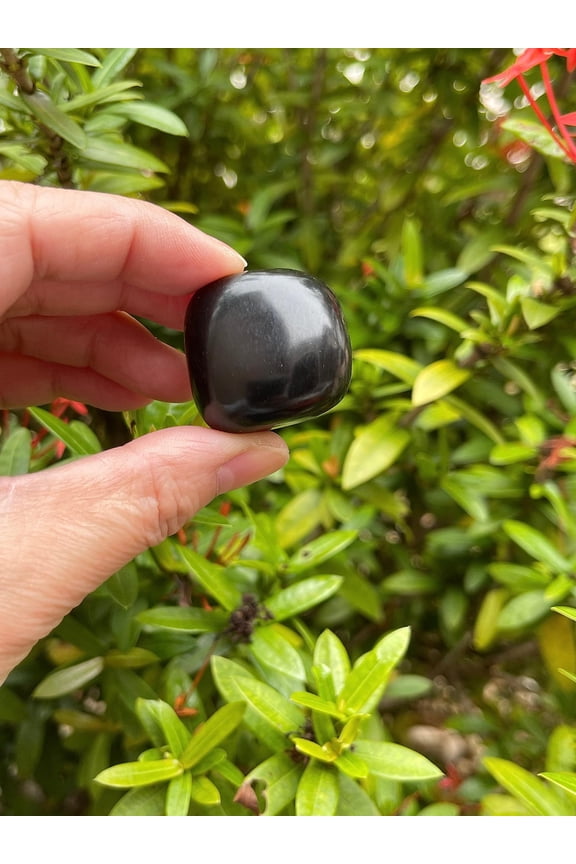 Jet Tumbled Stones, Polished Jet Gemstone, Jet Healing Crystals (Jet, 0.25 Pound)