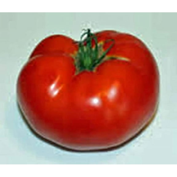 Jetstar Tomato Seeds - 200 Count Seed Pack - Non-GMO -Jet Star is a Prolific Variety That Produces an Abundance of Super Sweet, Medium-Sized Tomatoes. - Country Creek Acres