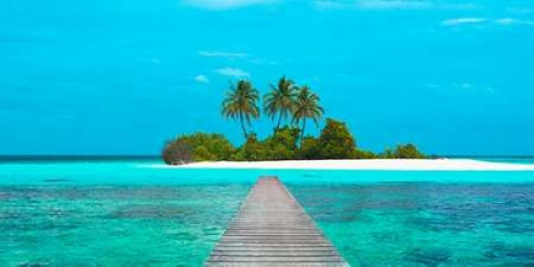 Jetty and Maldivian island Canvas Art - Pangea Images (24 x 48)