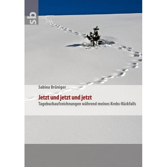 Jetzt und jetzt und jetzt: Tagebuchaufzeichnungen während meines Krebs-Rückfalls, (Paperback)