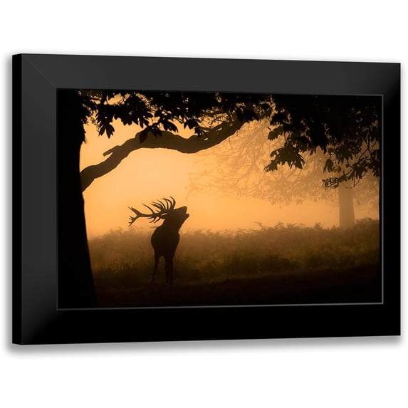 Jevric Fotorax, Radojica 14x11 Black Modern Framed Museum Art Print Titled - The Love Call