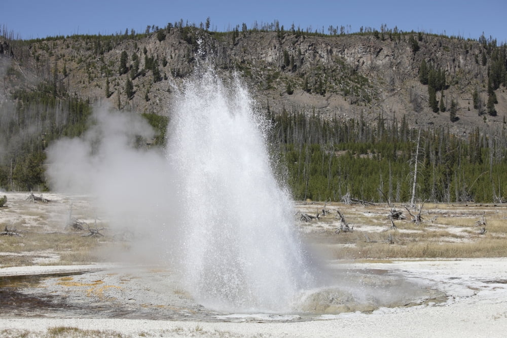 Jewel Geyser Upper Geyser Basin geothermal area Yellowstone National Park Wyoming Canvas Art - Richard RoscoeStocktrek Images (18 x 12)