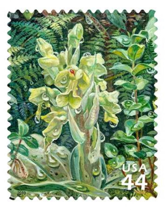 Jewel Orchid Canvas Art - US POSTAL SERVICE (22 x 28)